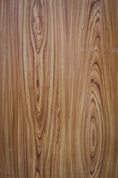 Old wood texture background with tree rings