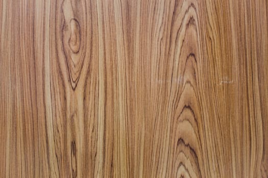 Old wood texture background with tree rings