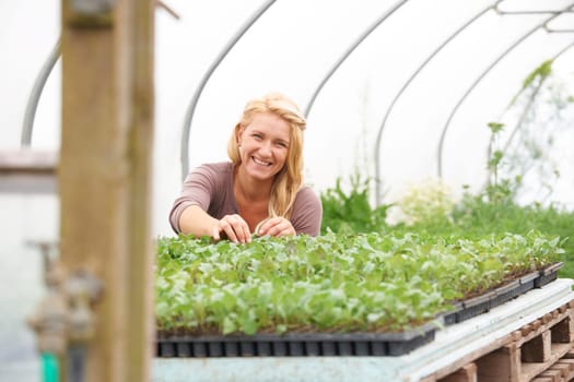 Female Farm Worker Checking Plants In Greenhouse