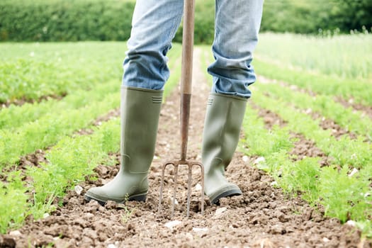 Close Up Of Farmer Working In Organic Farm Field