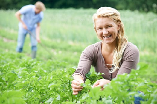 Couple Working In Field On Organic Farm