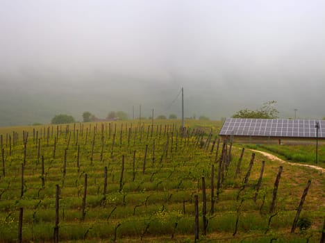 View of photo voltaic panels in the vineyard