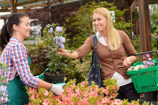 Garden center worker selling potted flower to customer buying plants