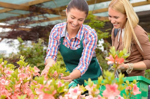 Garden center woman show flowers to smiling customer buying plants