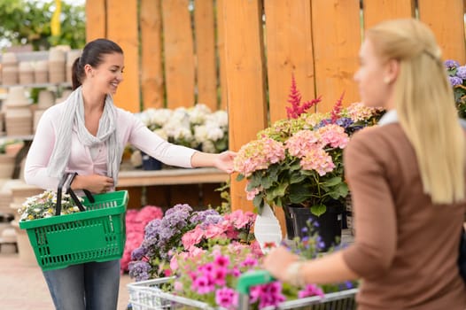 Customer woman shopping for flowers in garden center