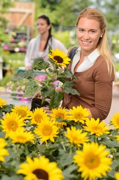 Smiling customer woman shopping for potted sunflower in garden center