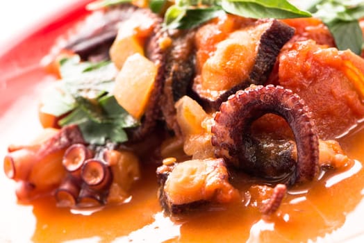 Braised octopus in tomato sauce with parsley