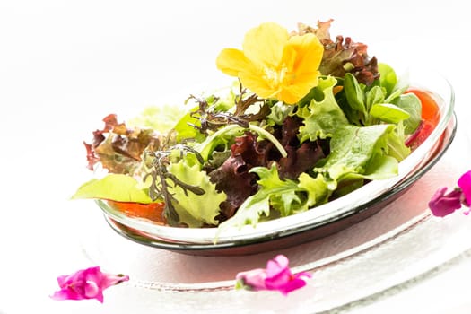 Leaf salad with edible flower in yellow on a plate