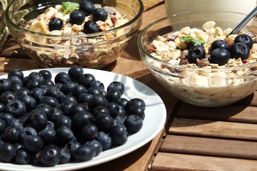 Berry fruits