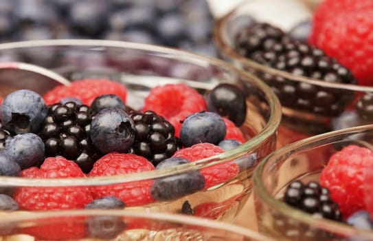 Berry fruits