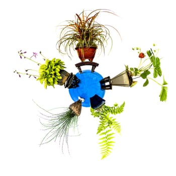 Mini planet with five plants such as fern,grass and strawberry