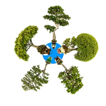 Mini Planet with five bonsai trees such as elm,maple tree,beech and fig tree