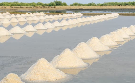 Heap of sea salt in evaporation pond, Thailand