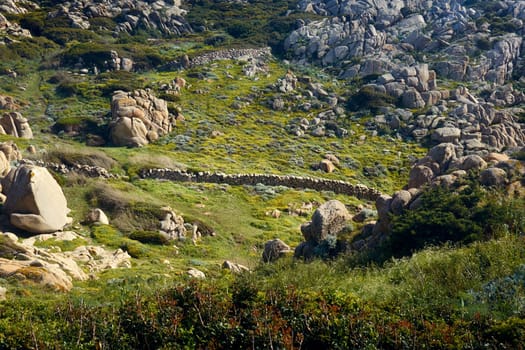 Italy, sardinia, mediterranean vegetation - view of sea and countryside. Santa Teresa di Gallura