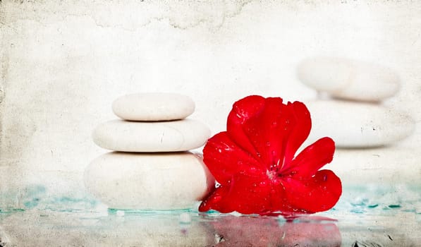 Spa stones and red flower on white background