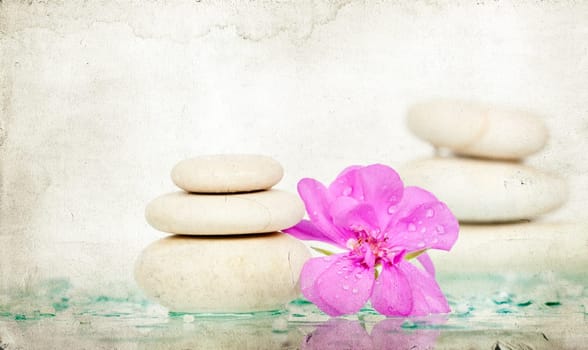 Spa stones and pink flower on white background
