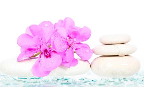 Spa stones and pink flower on white background