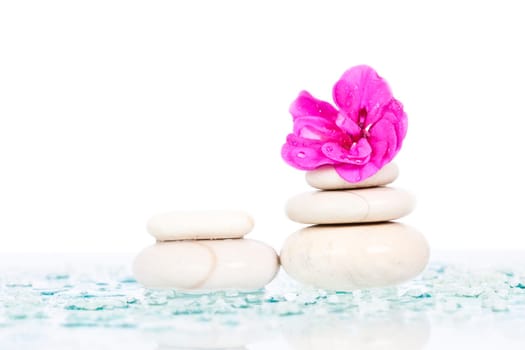 Spa stones and pink flower on white background