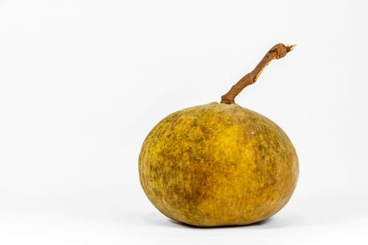 Santol fruit isolated on white background