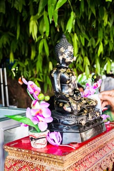 Buddhist covering buddha image with gold leafs in Thailand temple