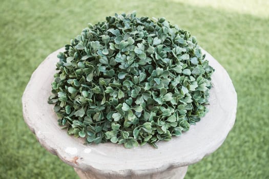 Garden flowerpot with ornament and evergreen plant