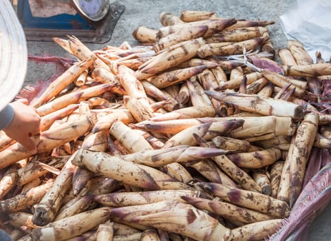 Lots of bamboo shoot bargaining in local market