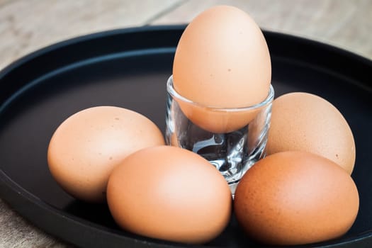 Many eggs in a black tray