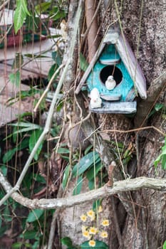 Wooden bird house and yellow wild orchid