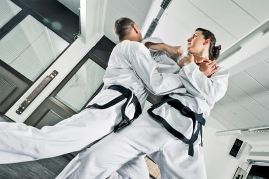 An image of two martial arts fighters