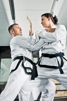 An image of two martial arts fighters