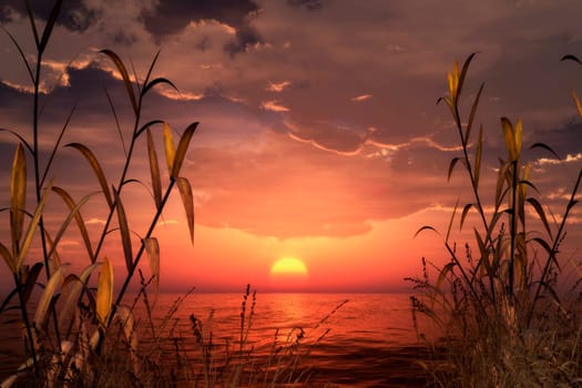 An image of a Fantasy landscape