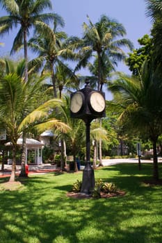 clock,clock,parking meter,time,park,black,meadow,garden,Fort Lauderdale,Florida,USA,America,summer,relaxation,rest,rest