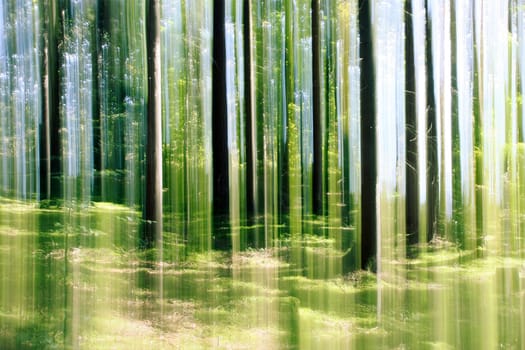 An image of a forest vertical motion blur background