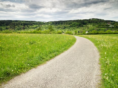 An image of a green meadow landscape