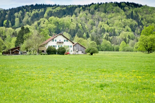 An image of a house in the green nature