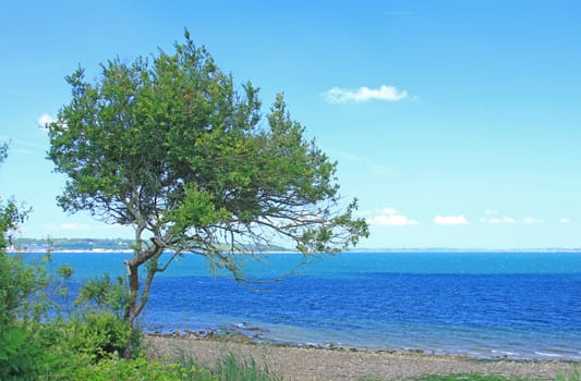 Stone beach near Quilien,Landévennec,Finistére,Brittany,France