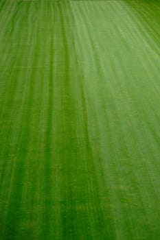 Photograph of the freshly mowed lawn of a football pitch.