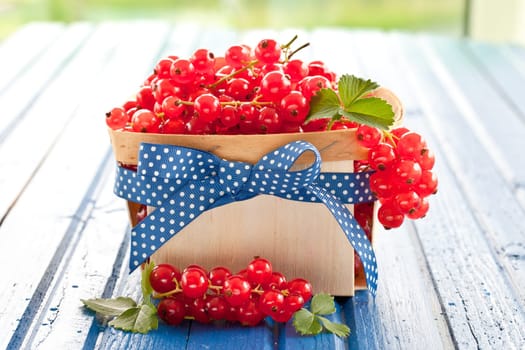 Small basket full of fresh red currants