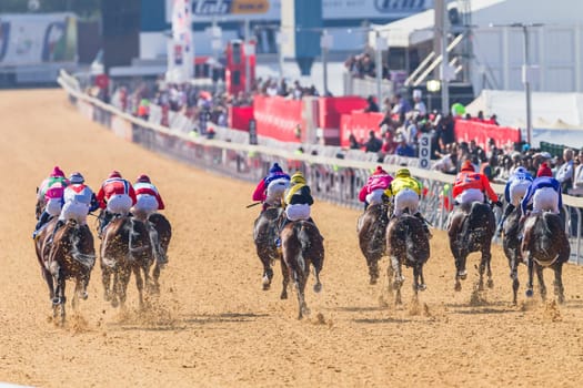 Horse racing closeup photo action of horses jockeys colors at Greyville racecouse sand and grass for Durban July vodacom cup.