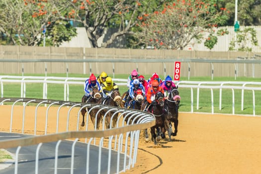 Horse racing closeup photo action of horses jockeys colors at Greyville racecouse sand and grass for Durban July vodacom cup.