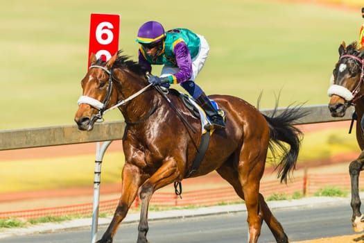 Horse racing closeup photo action of horses jockeys colors at Greyville racecouse sand and grass for Durban July vodacom cup.
