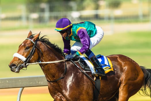 Horse racing closeup photo action of horses jockeys colors at Greyville racecouse sand and grass for Durban July vodacom cup.