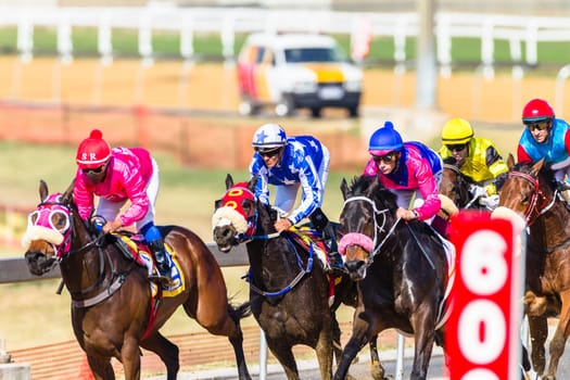 Horse racing closeup photo action of horses jockeys colors at Greyville racecouse sand and grass for Durban July vodacom cup.
