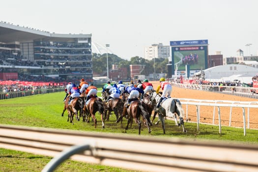 Horse racing action of jockeys races at Greyville racecouse sand and grass for Durban July vodacom cup.