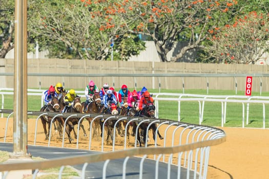 Horse racing closeup photo action of horses jockeys colors at Greyville racecouse sand and grass for Durban July vodacom cup.