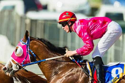 Horse racing closeup photo action of horses jockeys colors at Greyville racecouse sand and grass for Durban July vodacom cup.