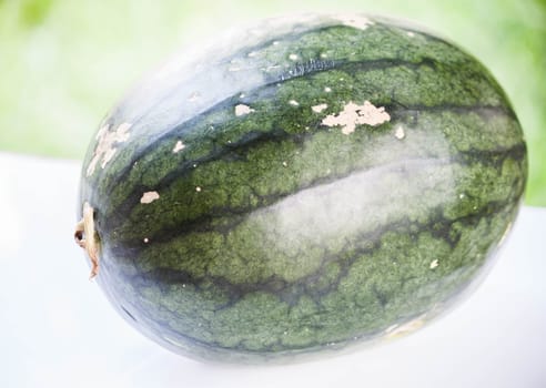 Close up fresh green sweet water melon