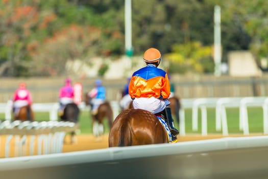 Horse racing jockeys to start gates at Greyville racecouse sand and grass for Durban July vodacom cup.