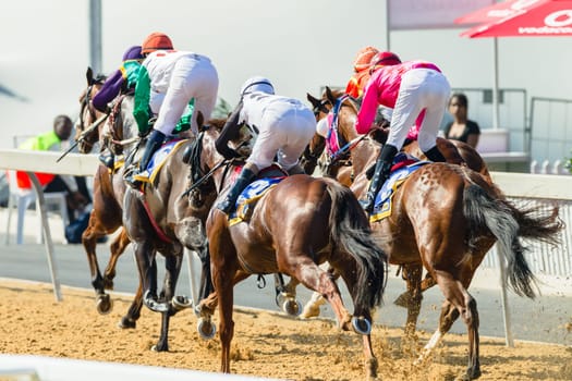 Horse racing closeup photo action of horses jockeys colors at Greyville racecouse sand and grass for Durban July vodacom cup.