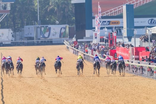 Horse racing closeup photo action of horses jockeys colors at Greyville racecouse sand and grass for Durban July vodacom cup.